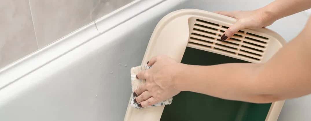 Jak często czyścić kuwetę kota, by uniknąć nieprzyjemnych zapachów