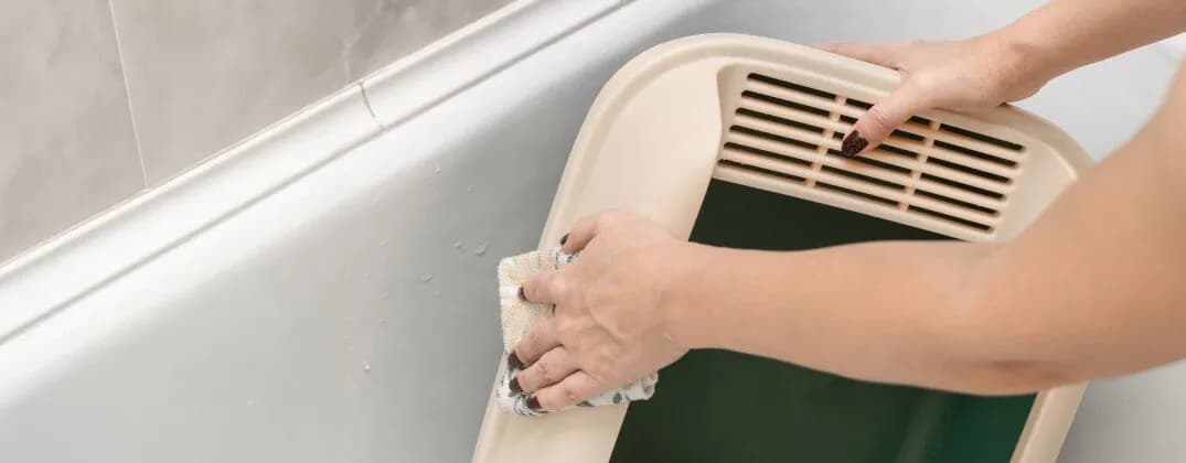 Jak często czyścić kuwetę kota, by uniknąć nieprzyjemnych zapachów