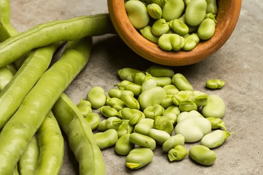 Czy koty mogą jeść bób? Sprawdź, co może im zaszkodzić