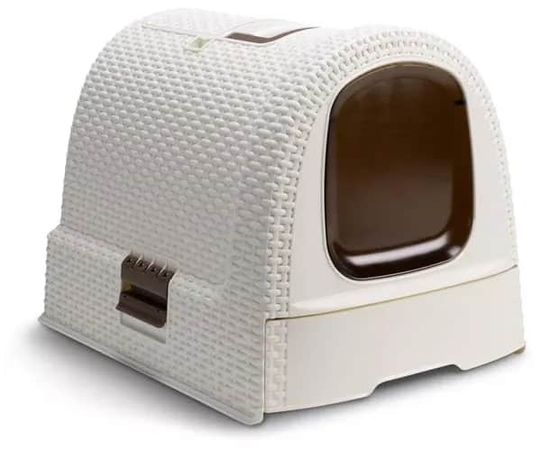 Ile kuwet dla kota? Sprawdź, jak zapewnić komfort i higienę