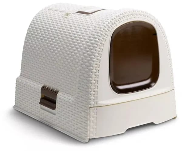 Ile kuwet dla kota? Sprawdź, jak zapewnić komfort i higienę